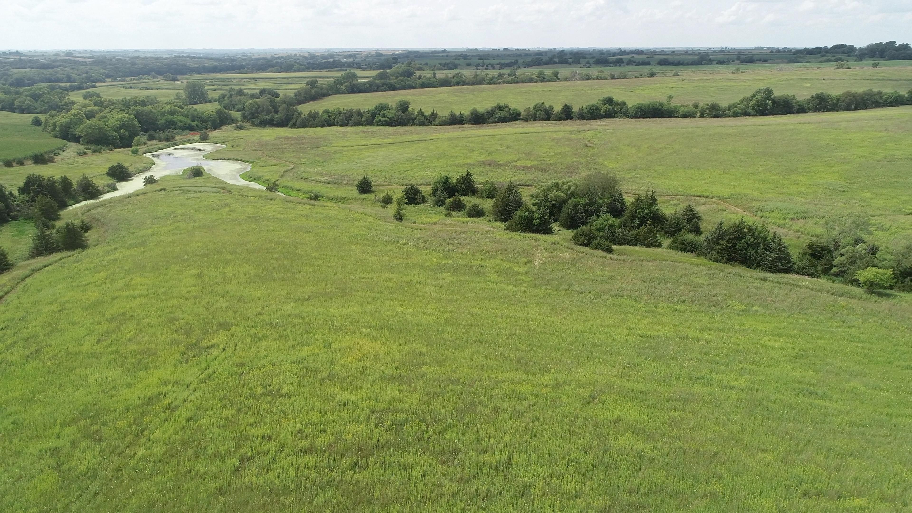162.5 acres in Adams County, Iowa