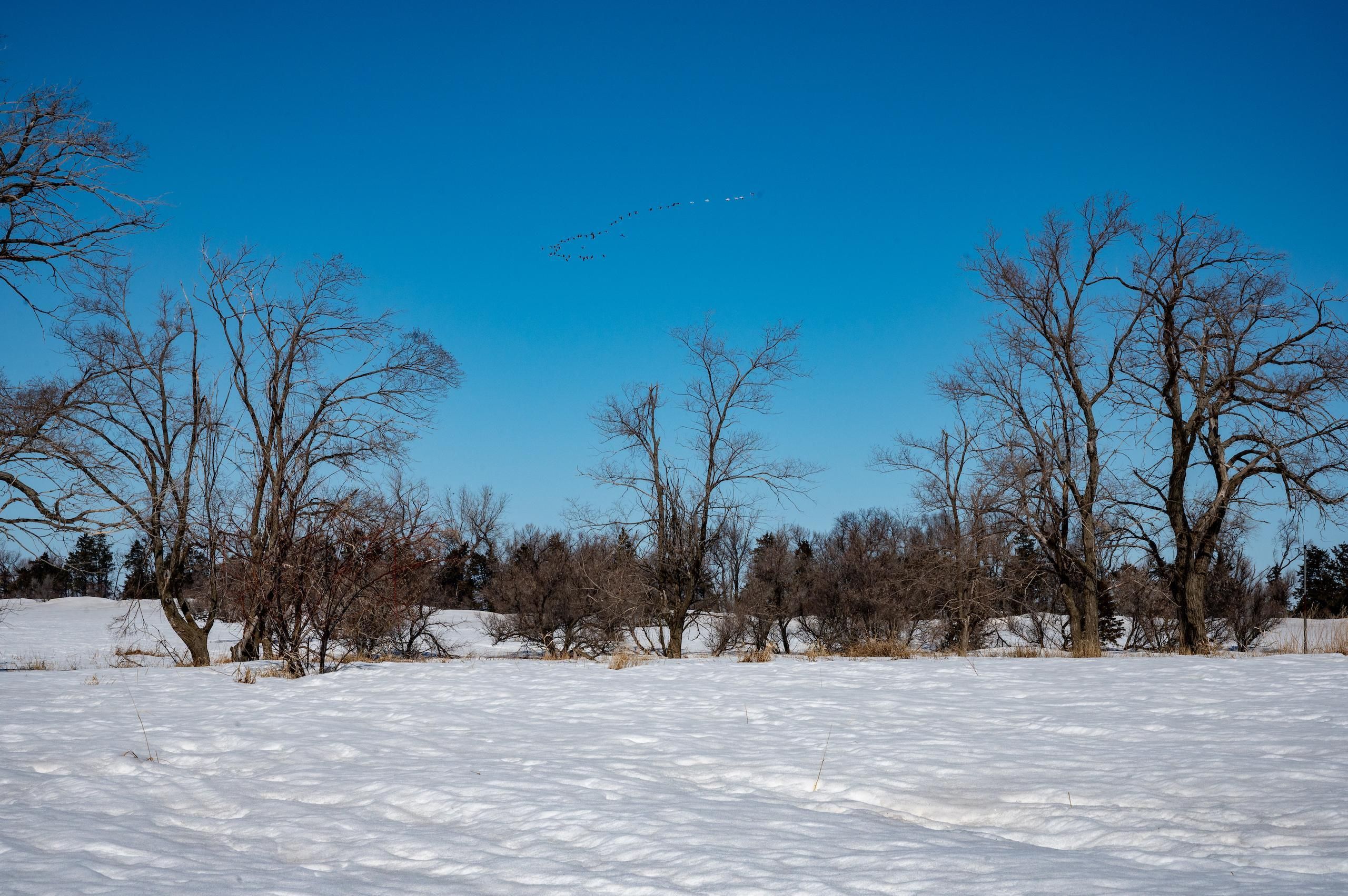 70 acres in Brown County, South Dakota