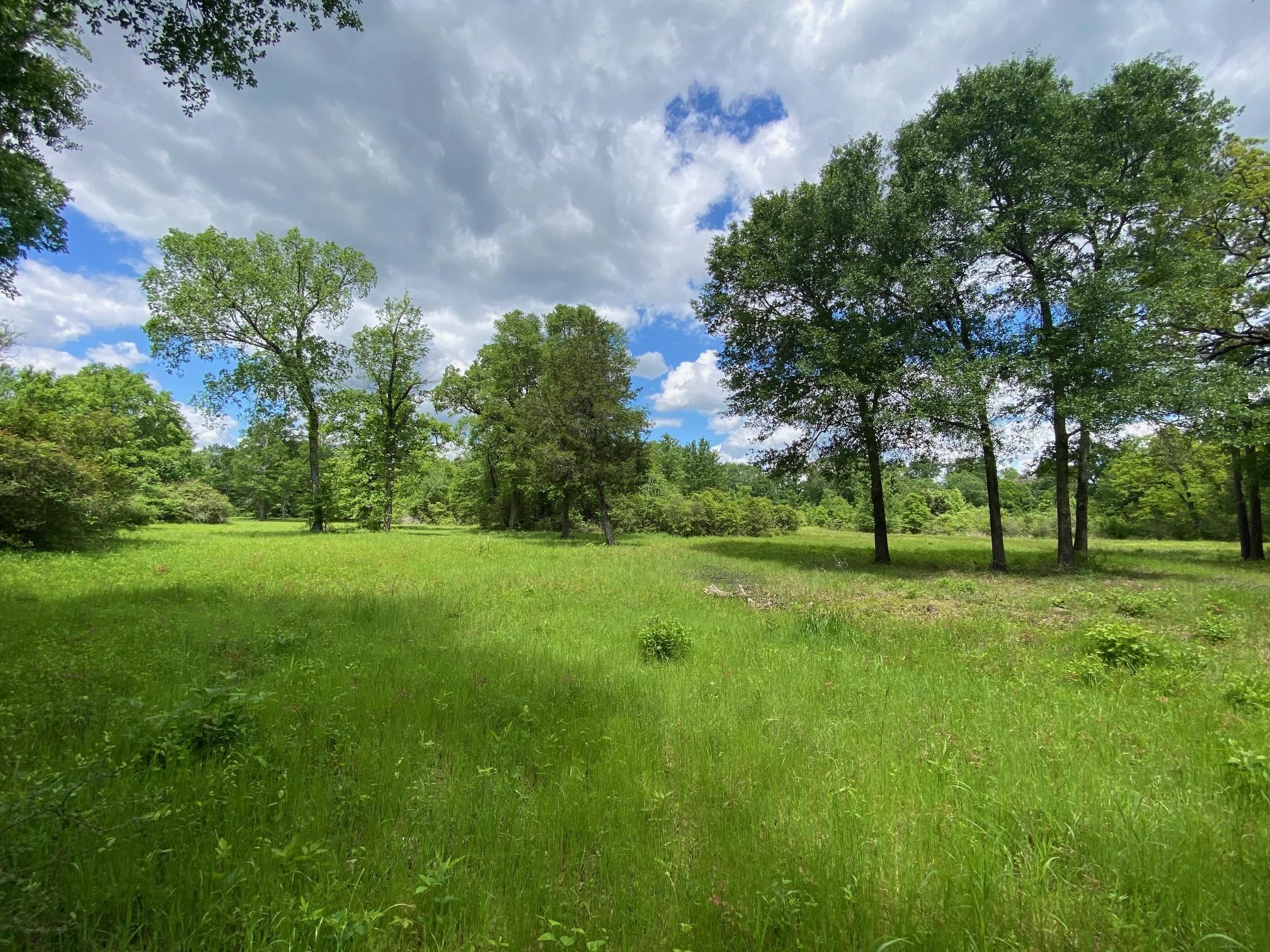 13.74 acres in Houston County, Texas