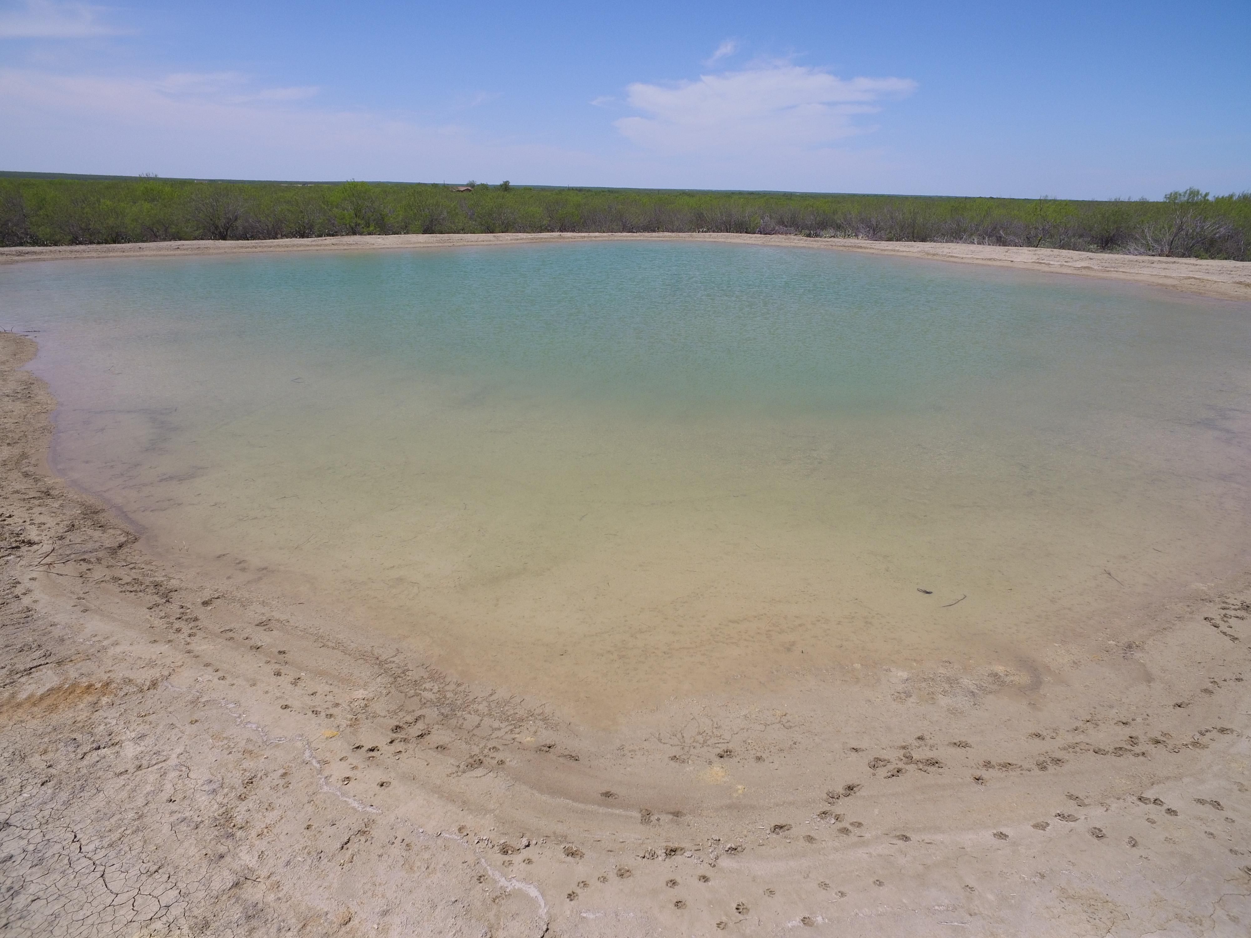 225 acres in Big Wells, TX, 78830