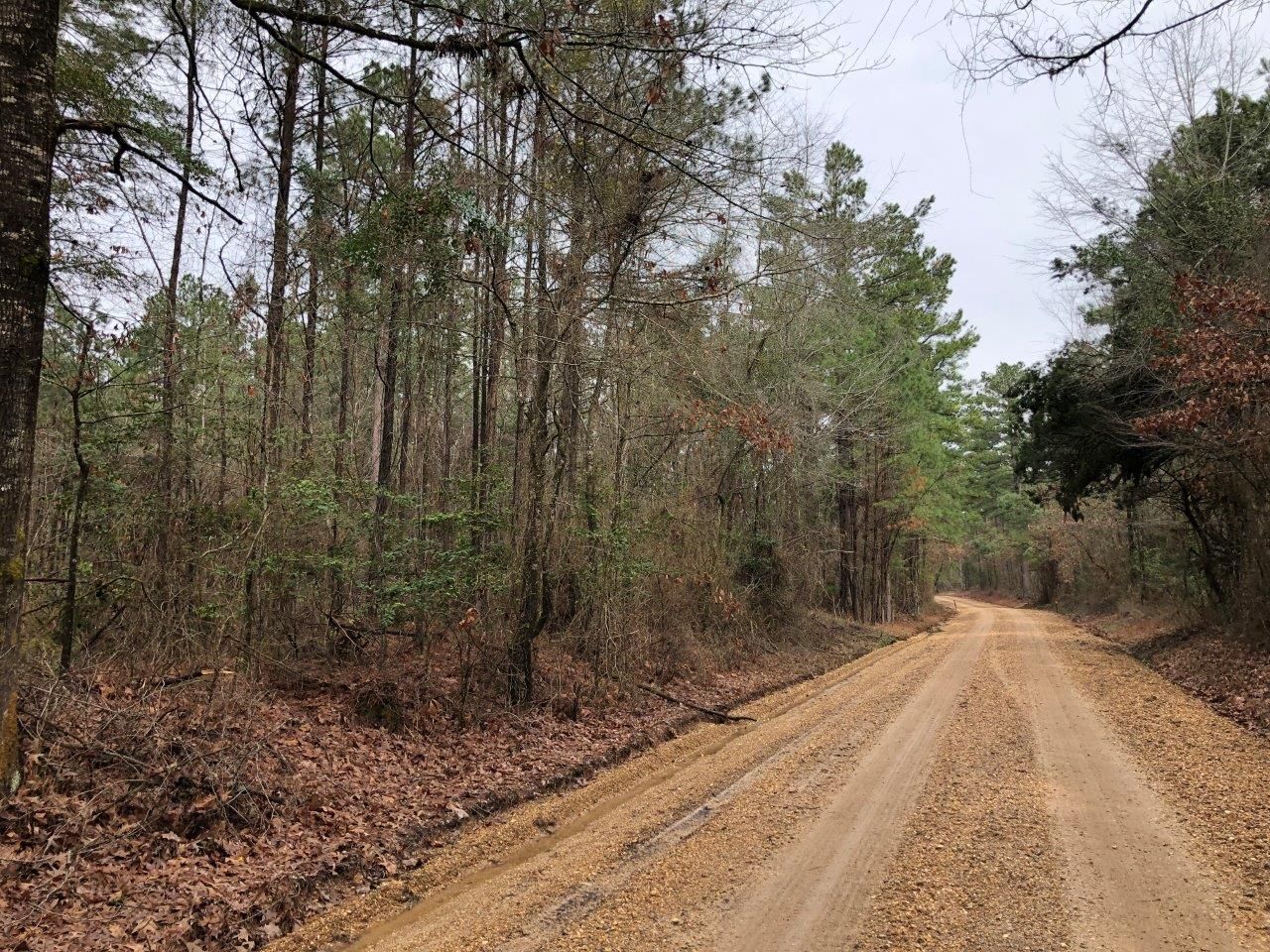 39 acres in Calhoun County, Arkansas