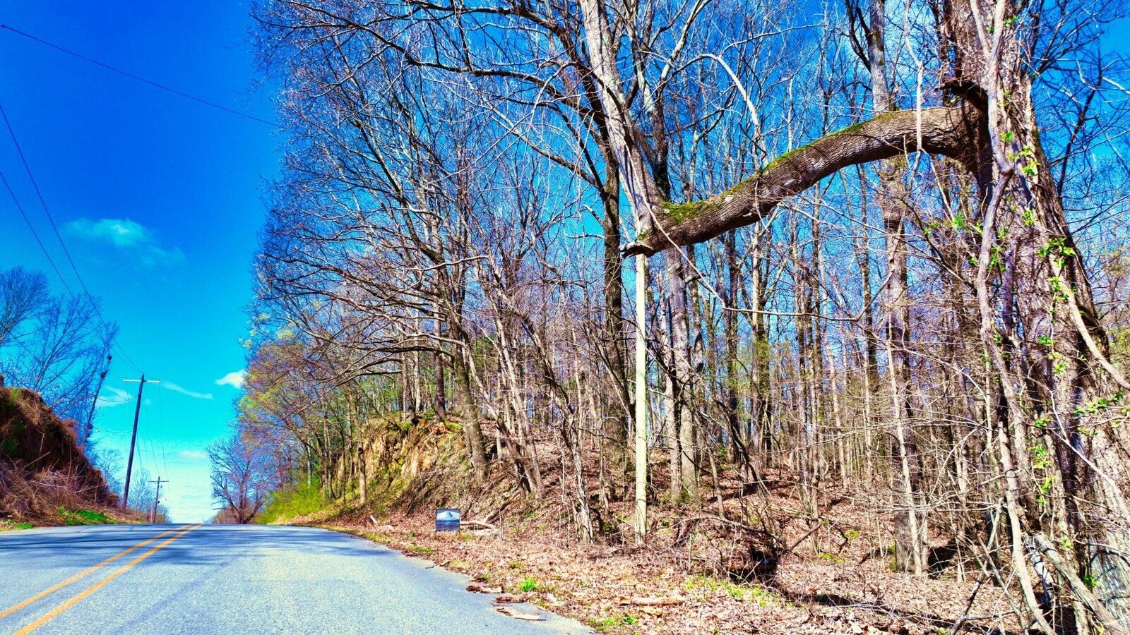 14.78 acres in Phillips County, Arkansas