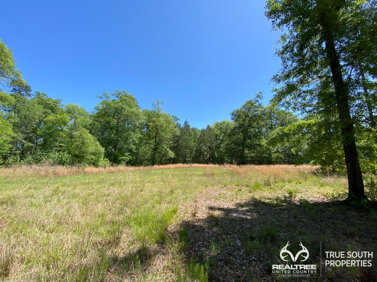 2 acres in Hampton County, South Carolina