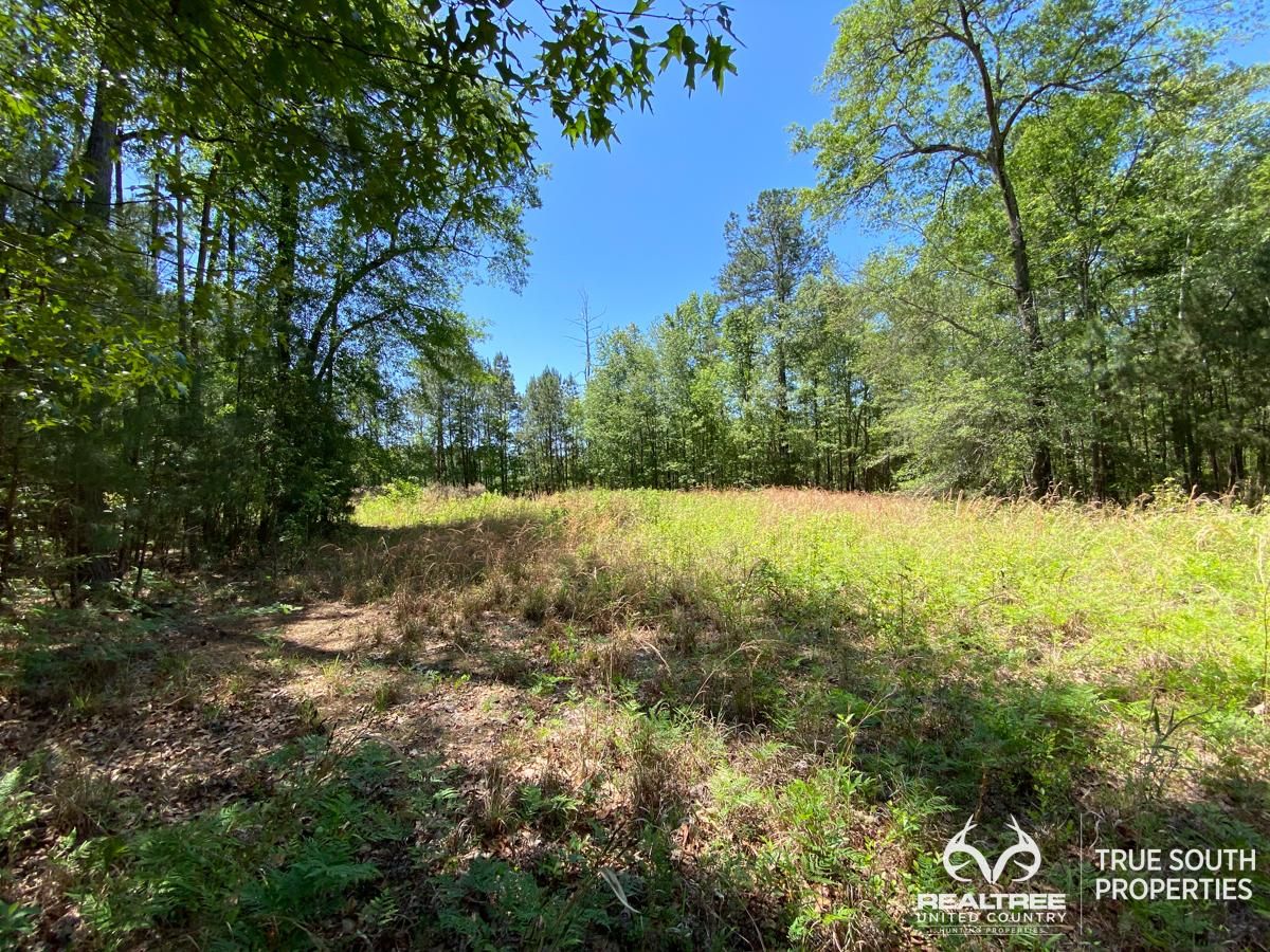 1 acres in Hampton County, South Carolina