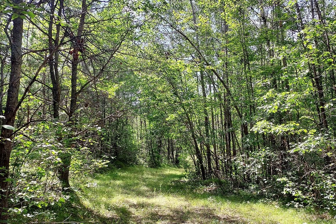 5.35 acres in County, Wisconsin