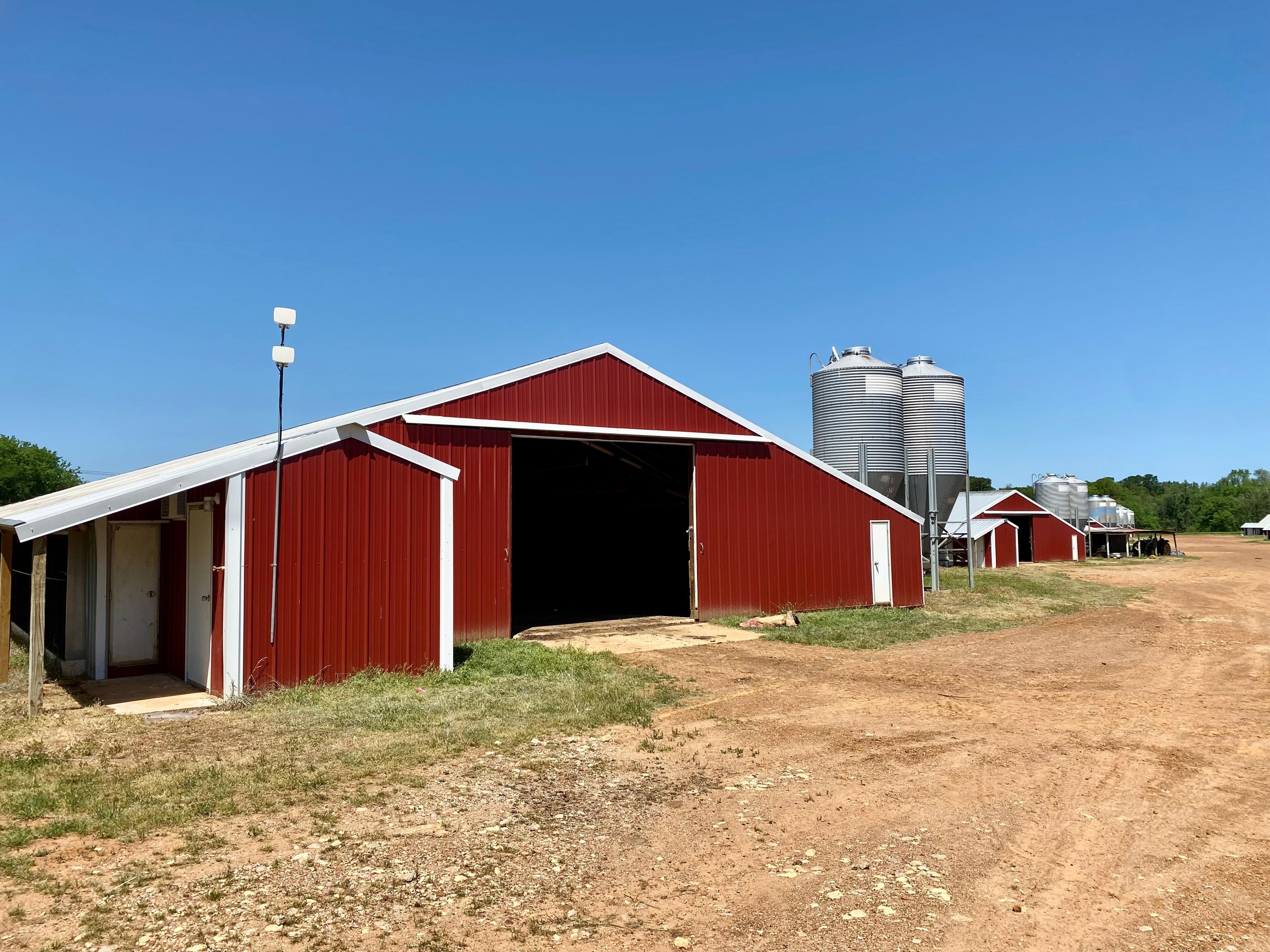 41 acres in Camp County, Texas