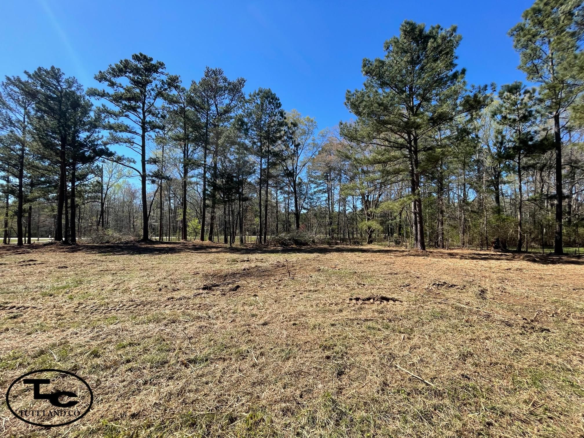 4 acres in Shelby County, Alabama