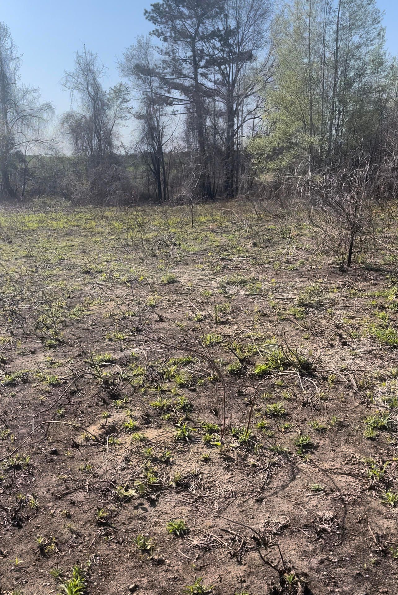 5 acres in Pulaski County,