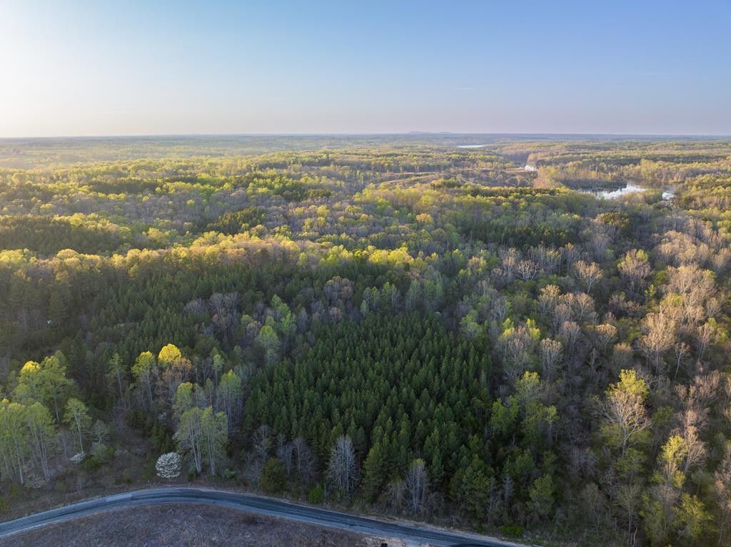 14 acres in Prince Edward County, Virginia