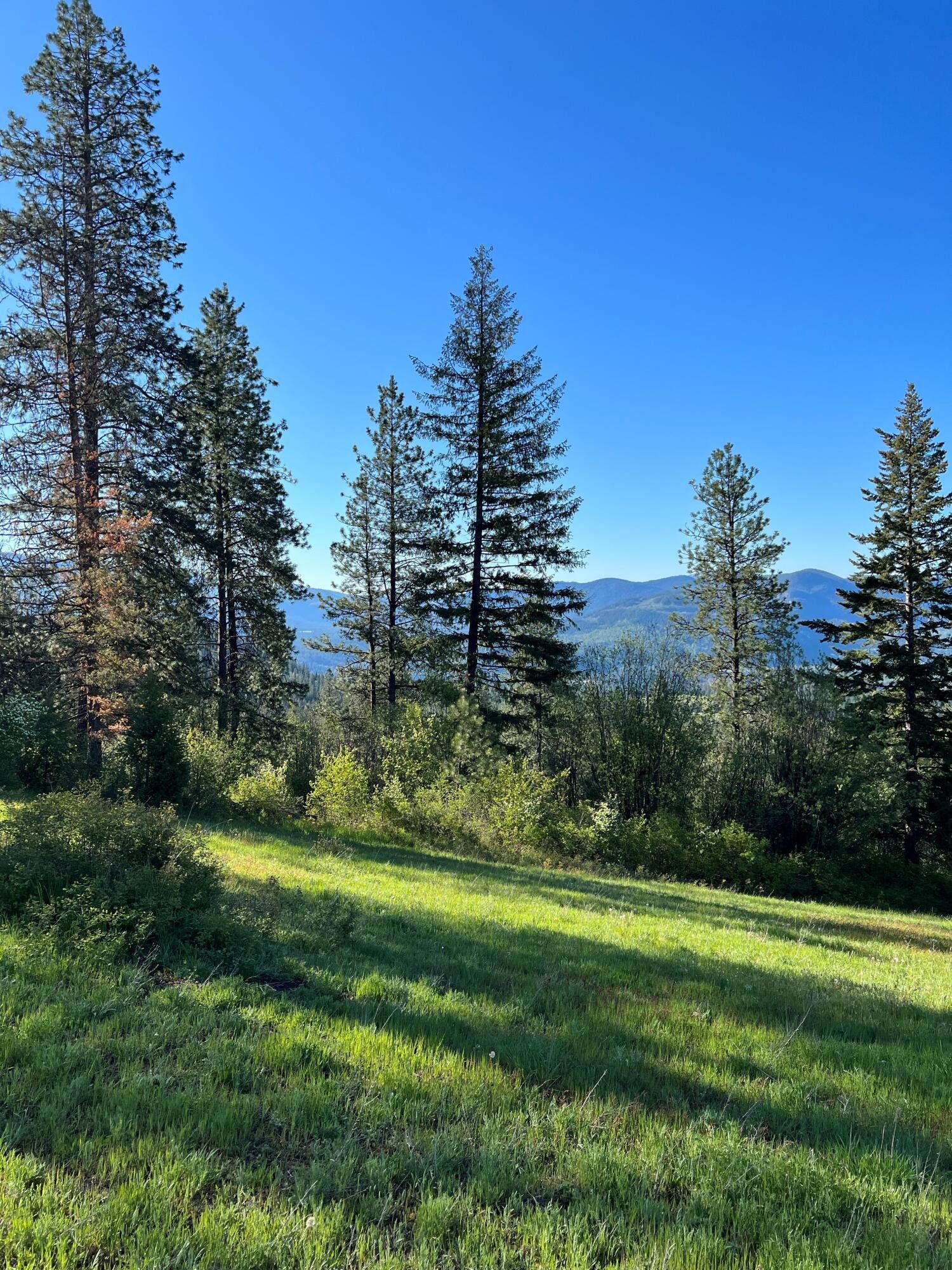 20 acres in Stevens County, Washington