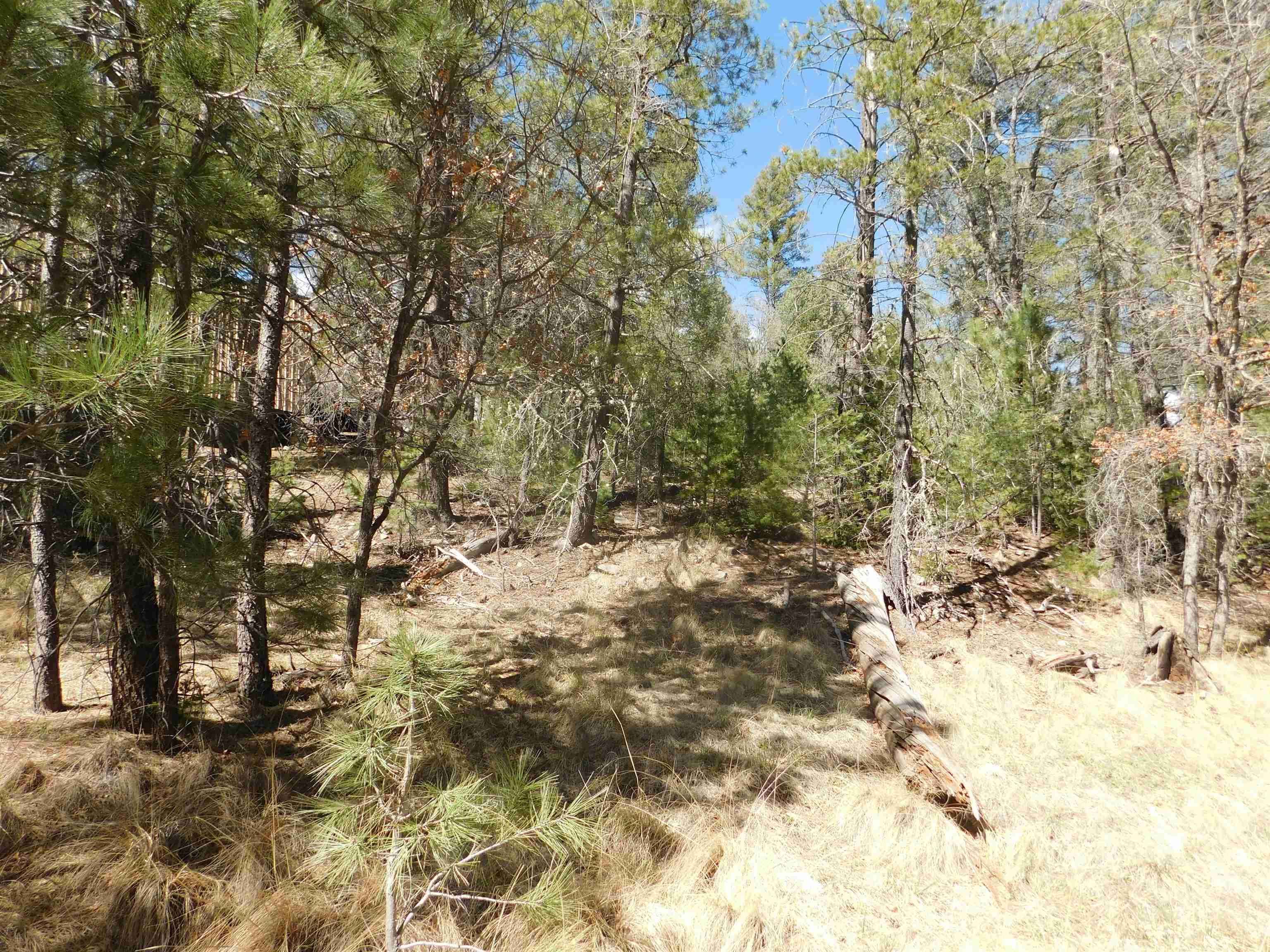 0.56 acres in Otero County, New Mexico