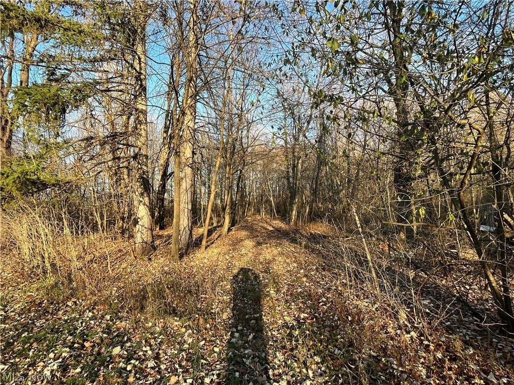 3 acres in Summit County, Ohio