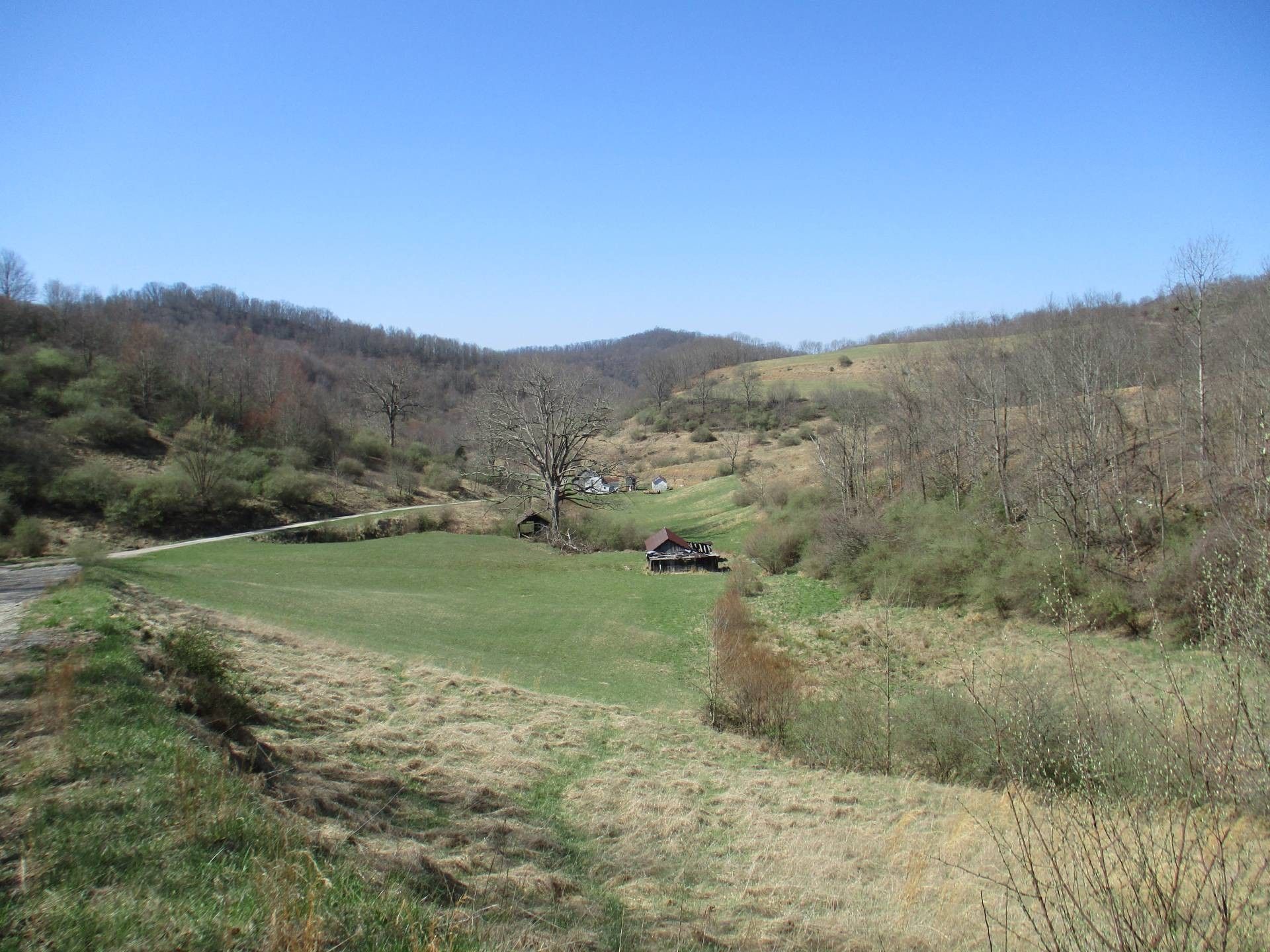 295 acres in Gilmer County, West Virginia