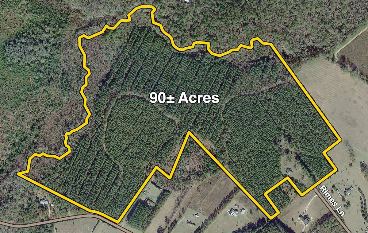 90.75 acres in Bulloch County,
