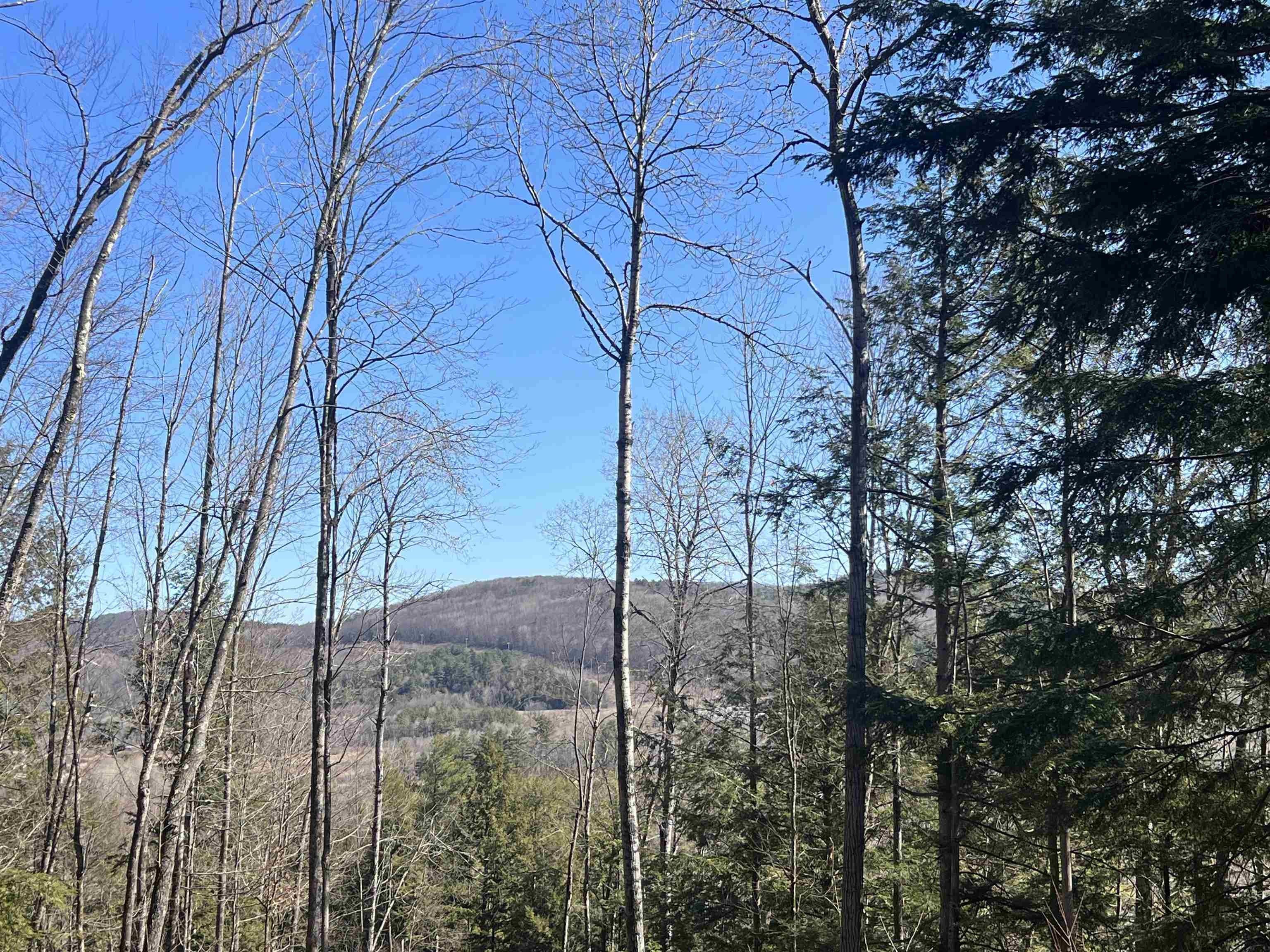 65.8 acres in Rutland County, Vermont