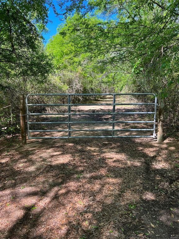 38.43 acres in Autauga County, Alabama