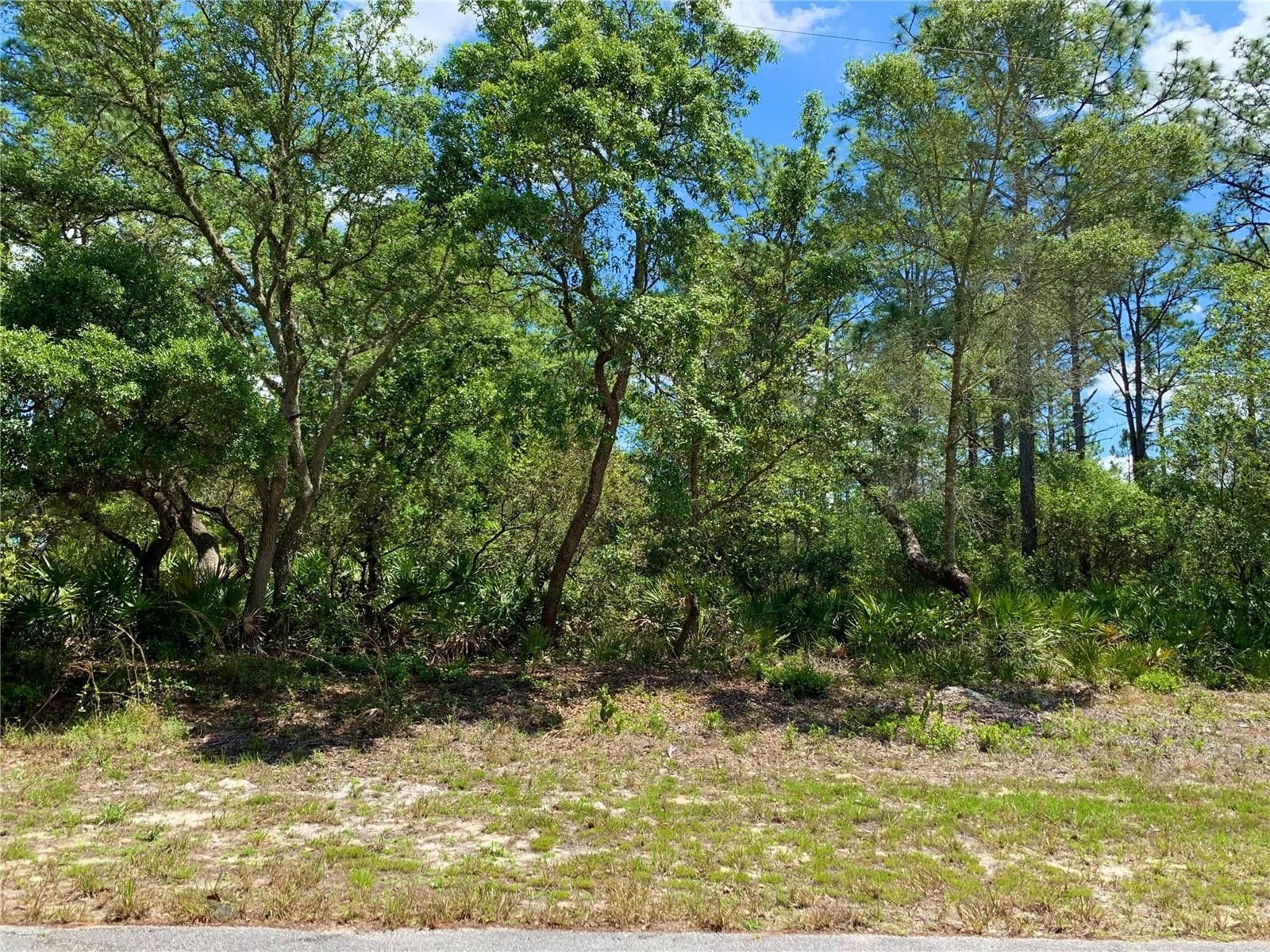1 acres in Lake County, Florida