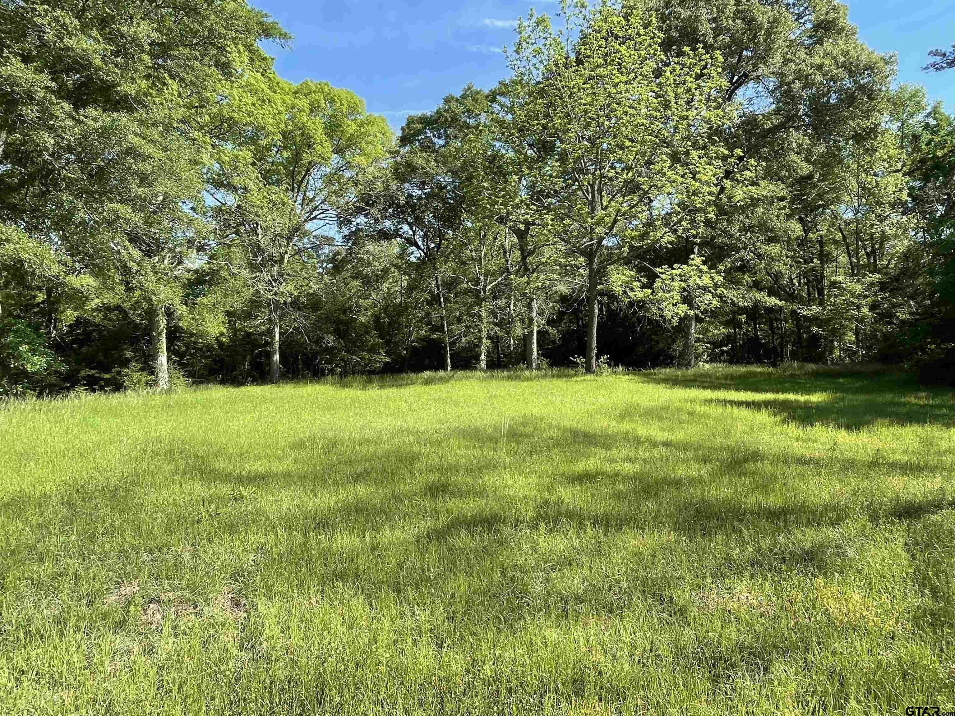 12.78 acres in Cherokee County, Texas
