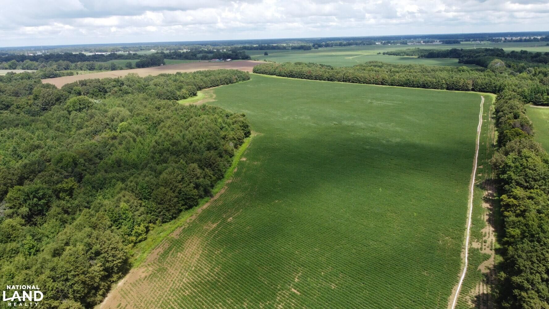 454.12 acres in Saint Francis County, Arkansas