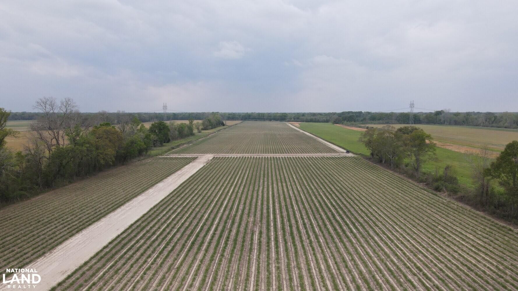 96 acres in Iberville Parish, Louisiana