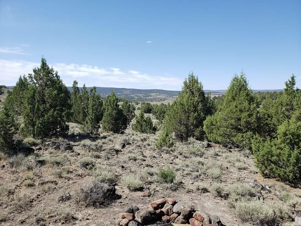 5 acres in Owyhee County, Idaho