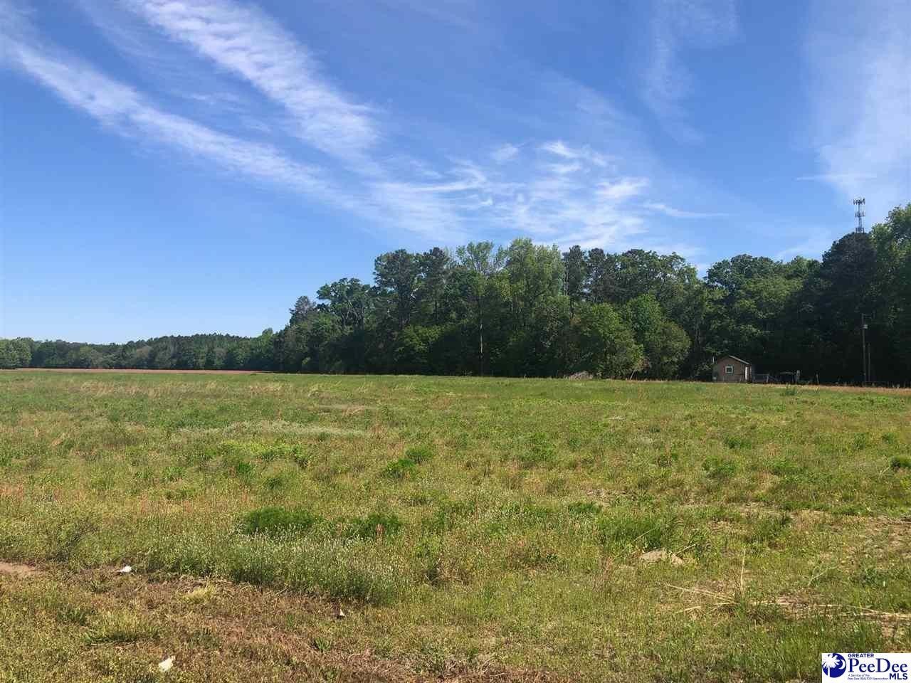 5.91 acres in Darlington County, South Carolina