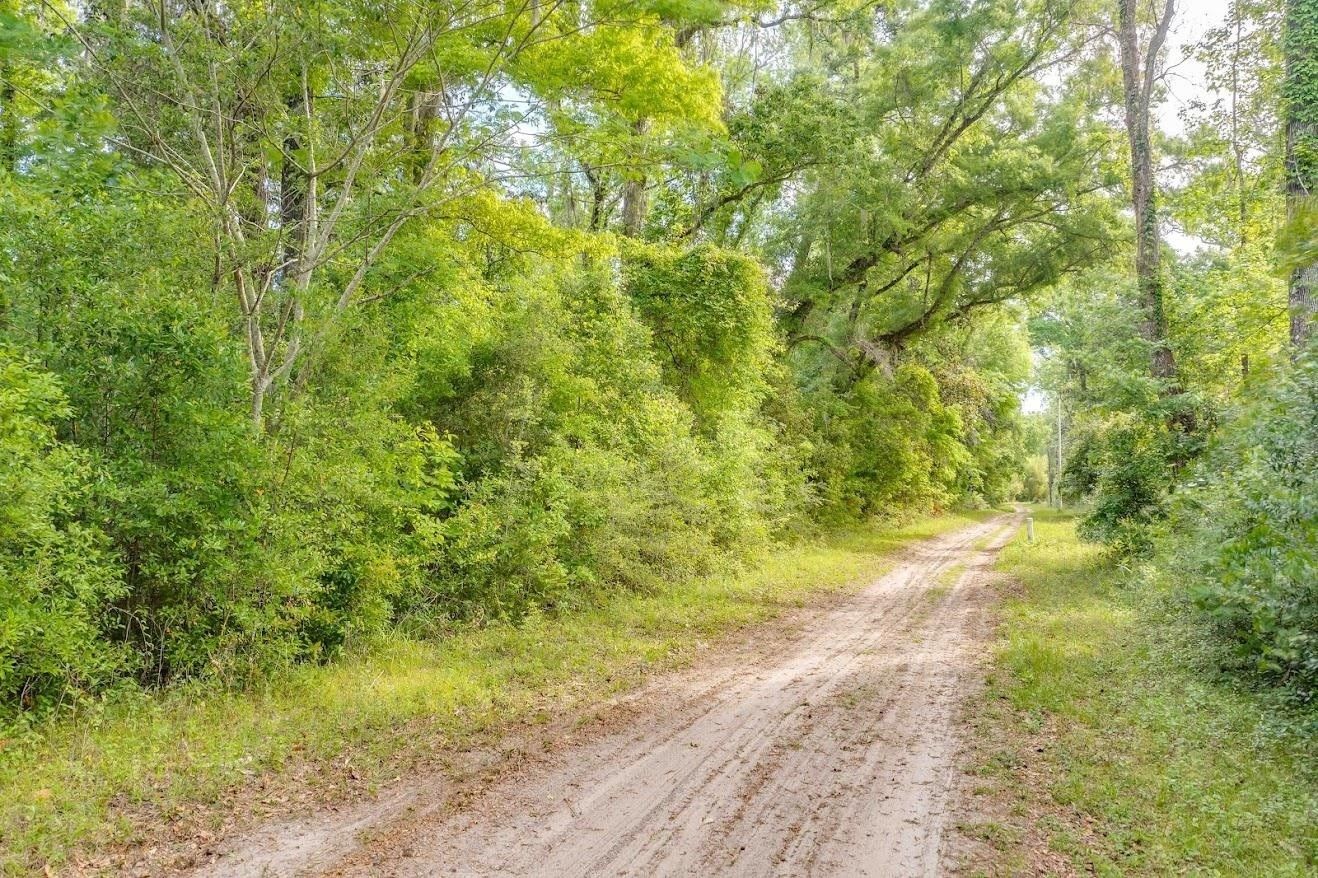 40 acres in Wakulla County, Florida
