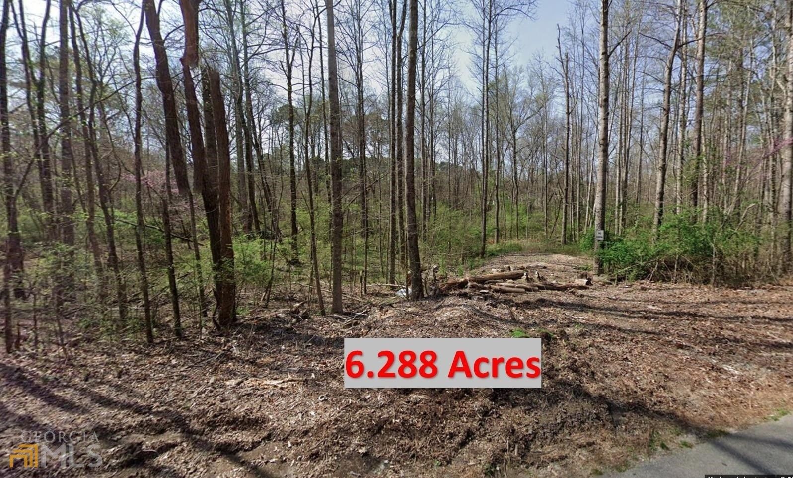 1194 W Wiley Bridge, Woodstock, GA 30188 MLS 20116543