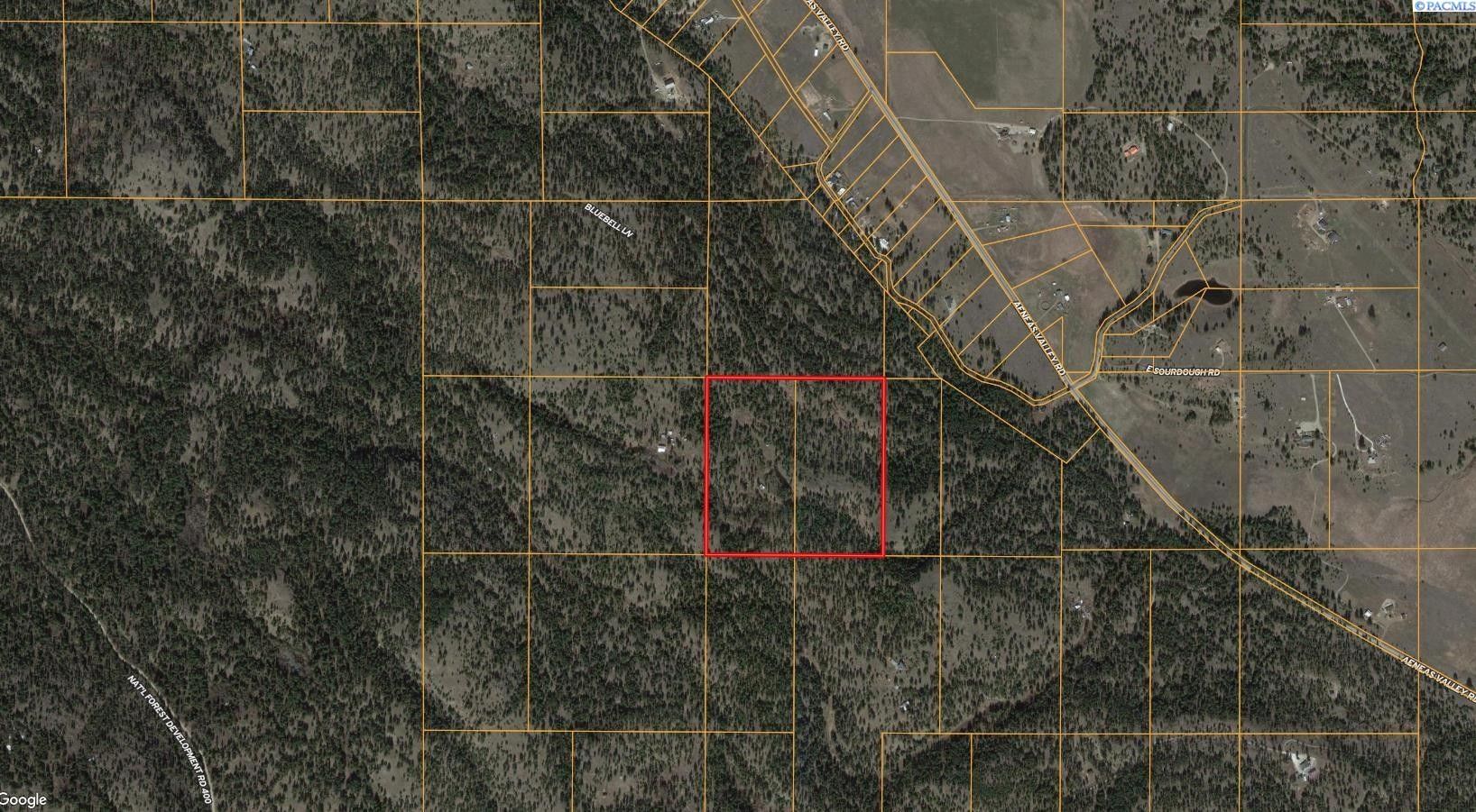 40 acres in Okanogan County, Washington