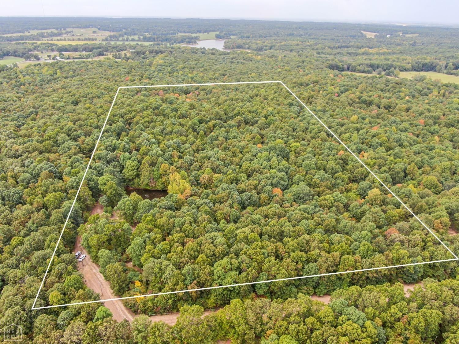 20 acres in Greene County, Arkansas