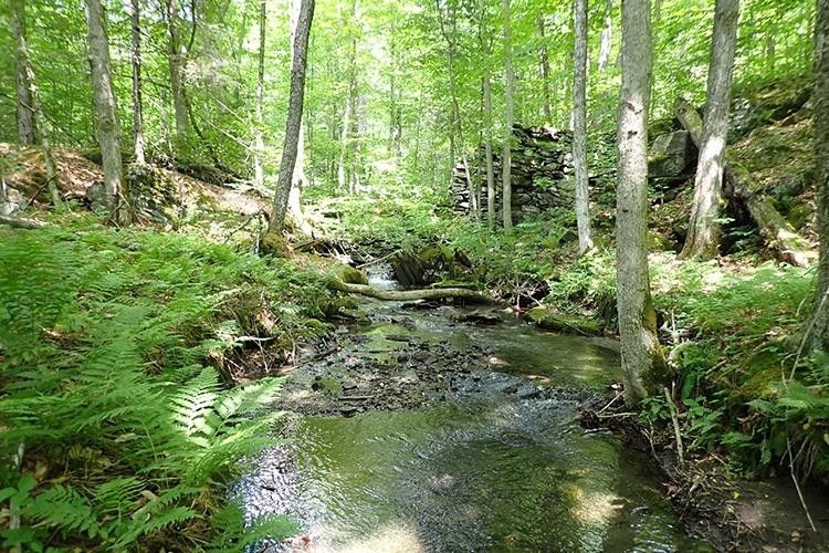 264 acres in Orange County, Vermont