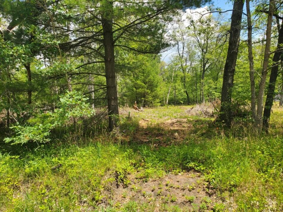 0.51 acres in Lake County, Michigan