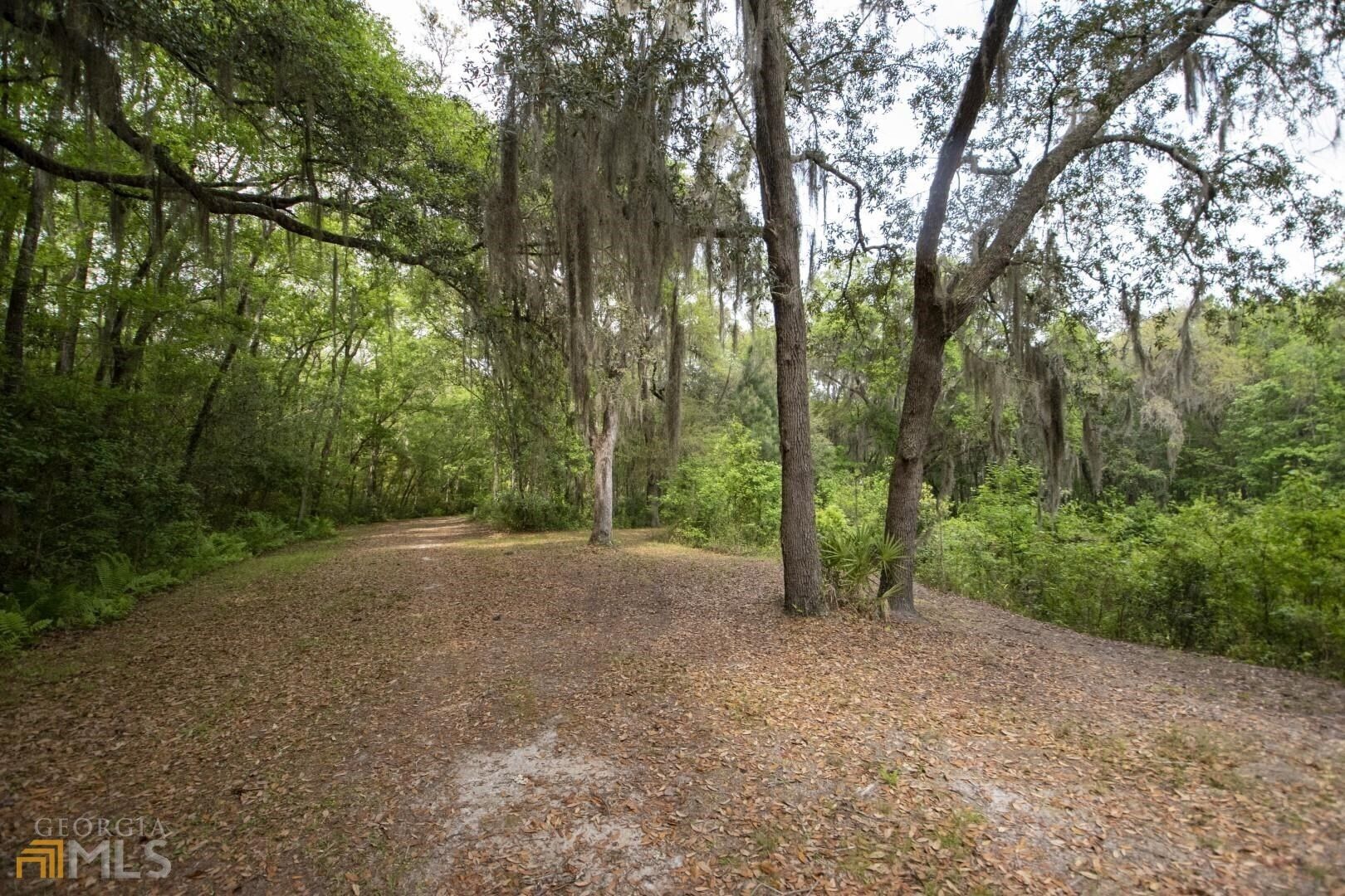 5 acres in Camden County,