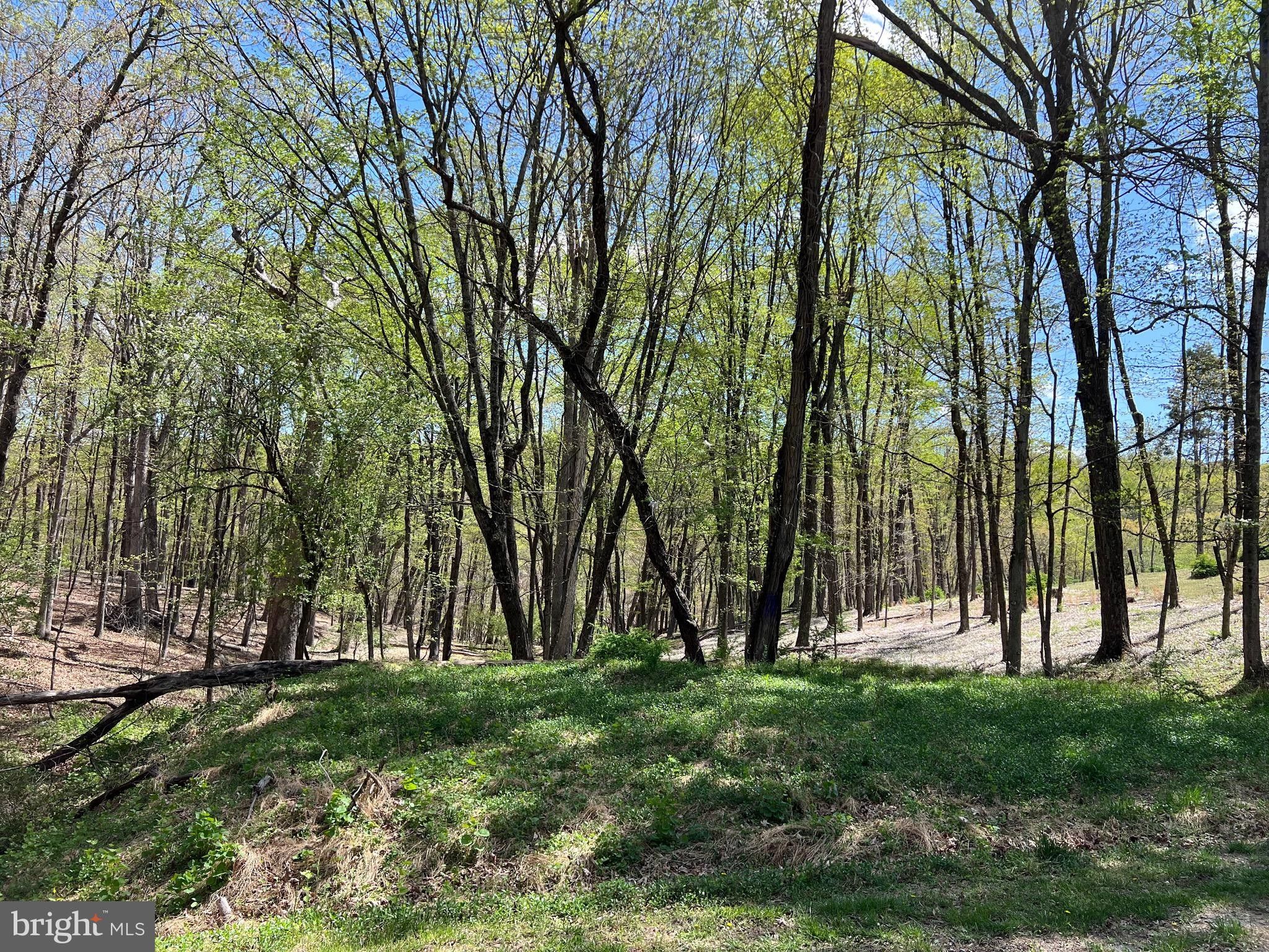 TIMBER RIDGE, Berkeley Springs, WV 25411 MLS WVMO2002522