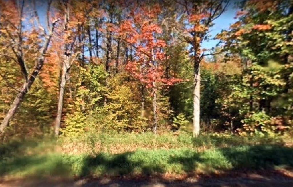 40 acres in Sawyer County, Wisconsin