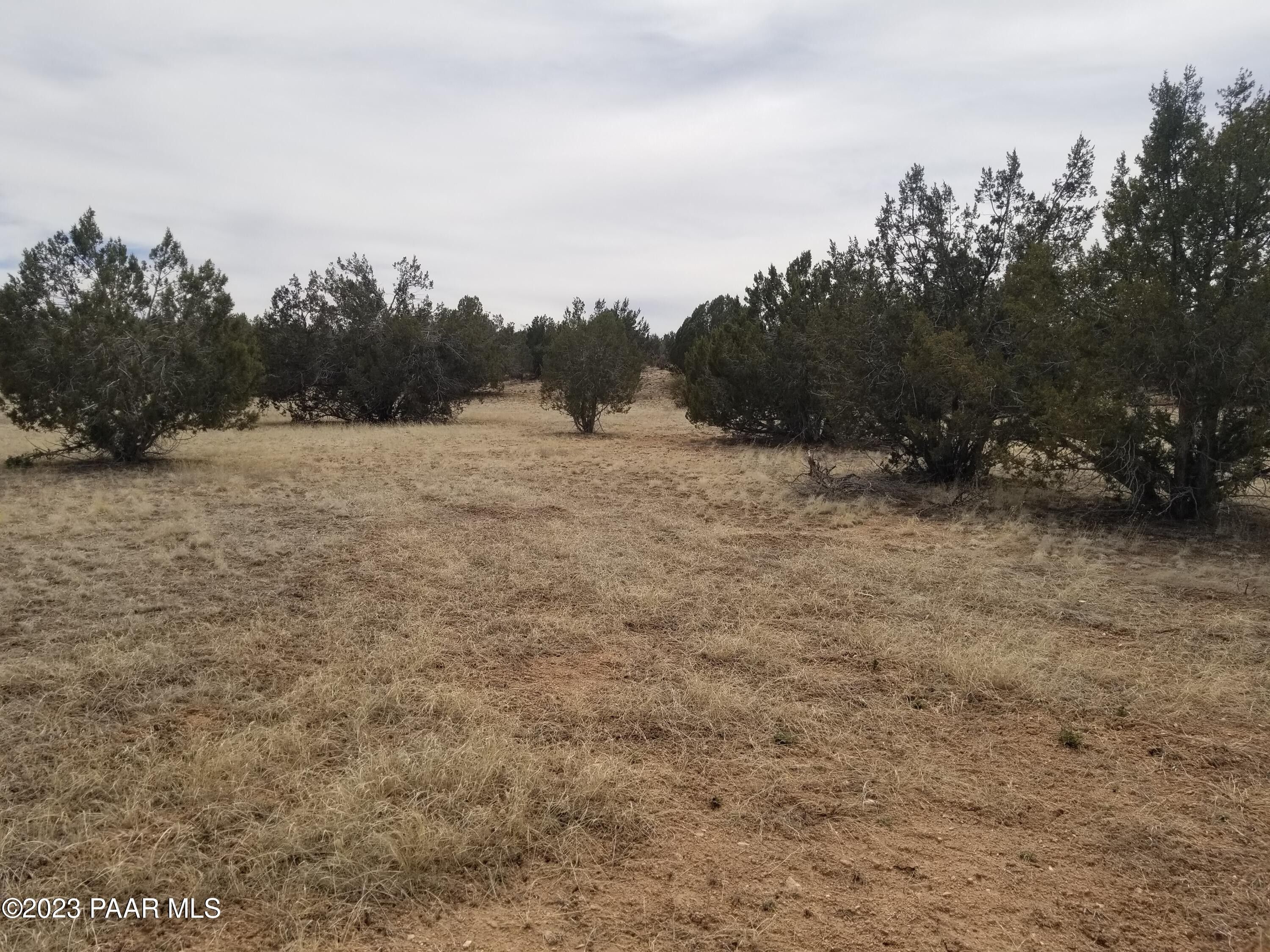 12 acres in Yavapai County, Arizona