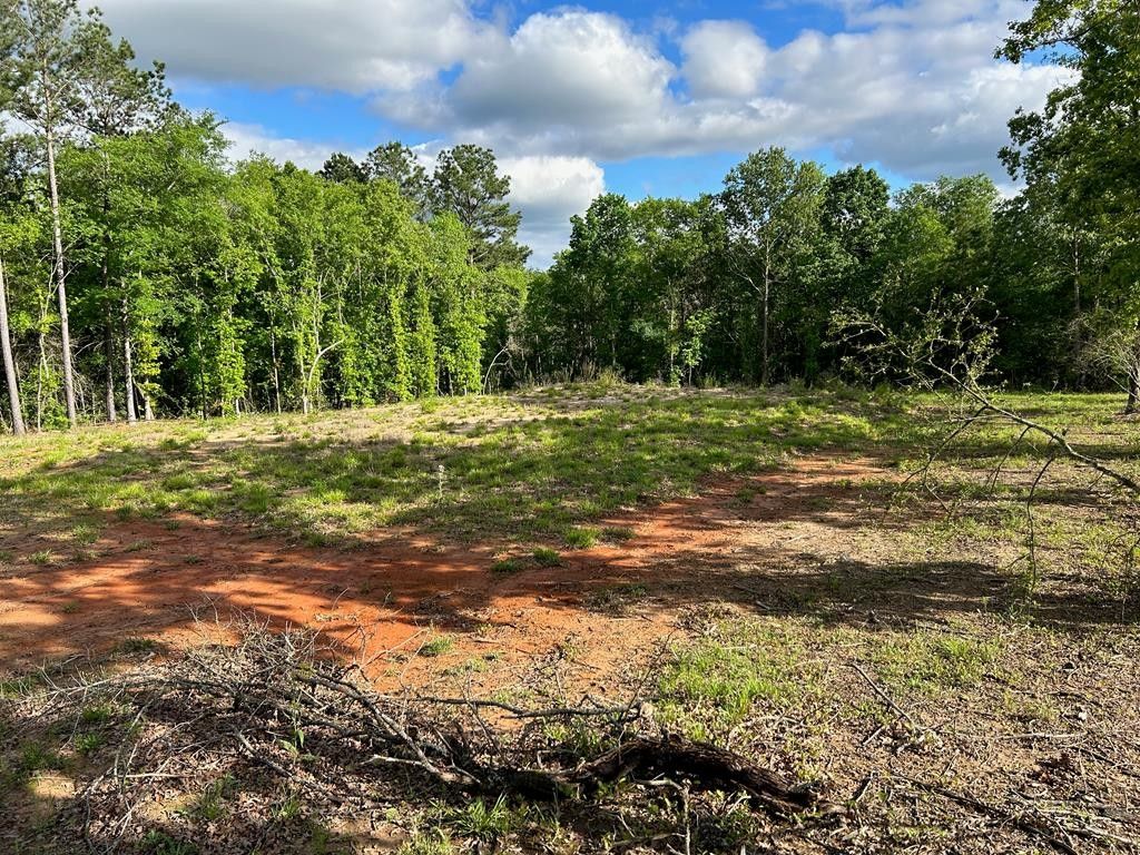 8.4 acres in Rusk County, Texas