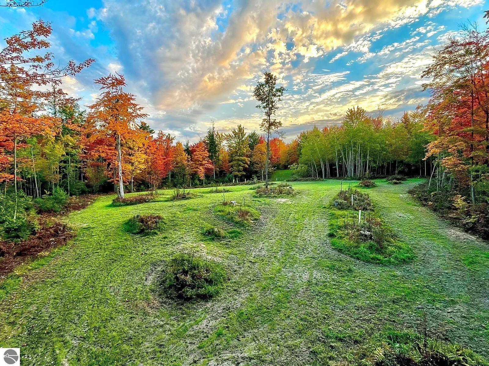 146 acres in Osceola County, Michigan