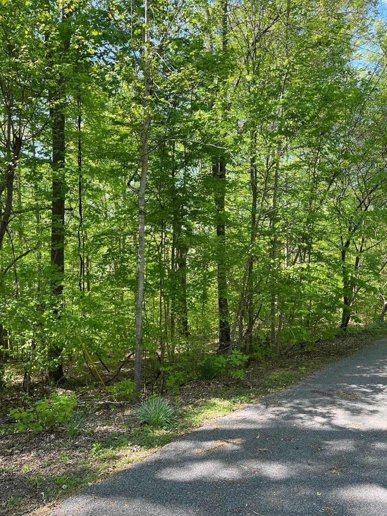 3.1 acres in Putnam County, Tennessee
