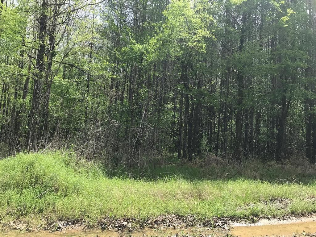 48 acres in Lafayette County, Mississippi