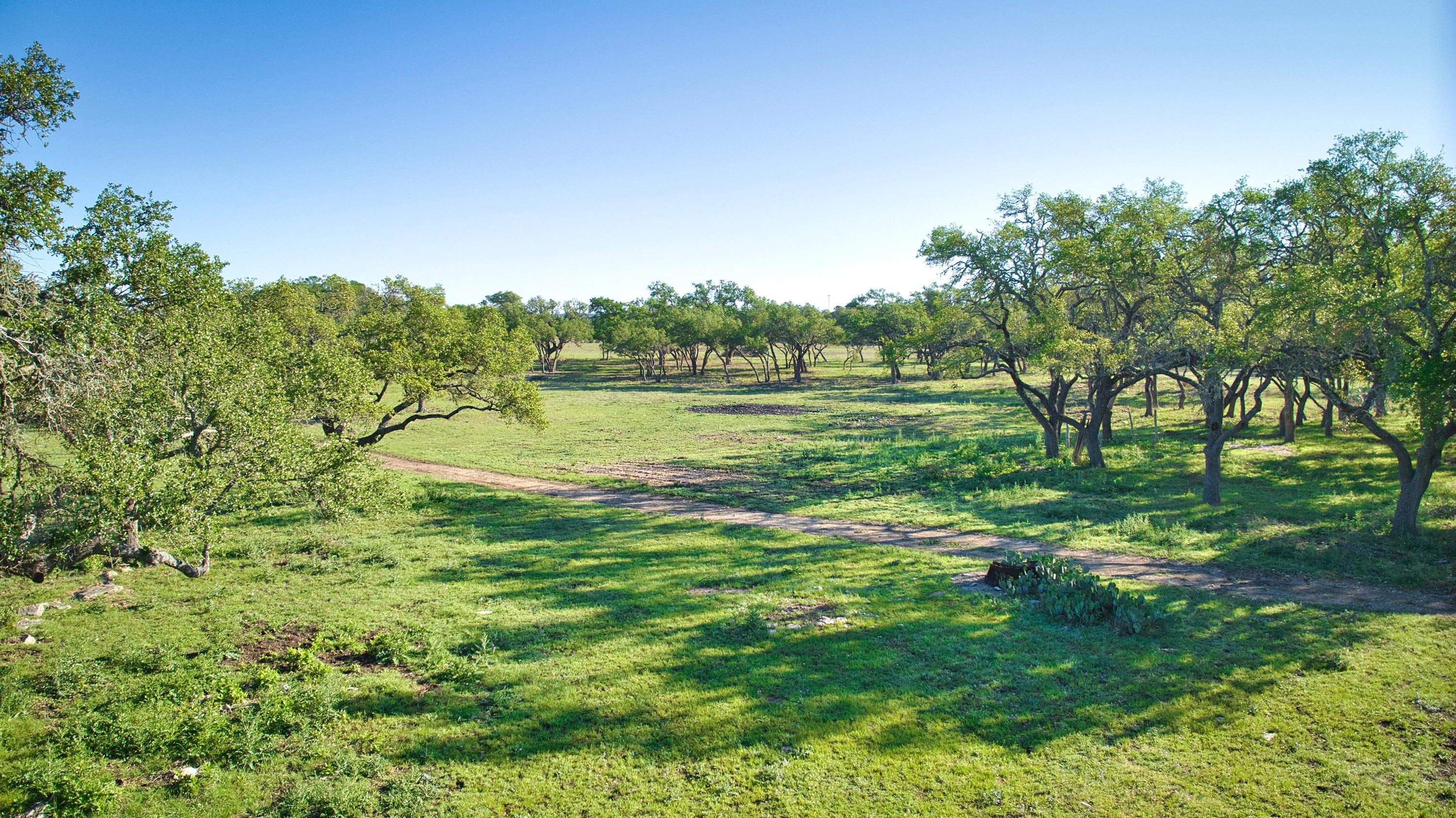 3135 Chimney Valley Road, Blanco, TX 78606