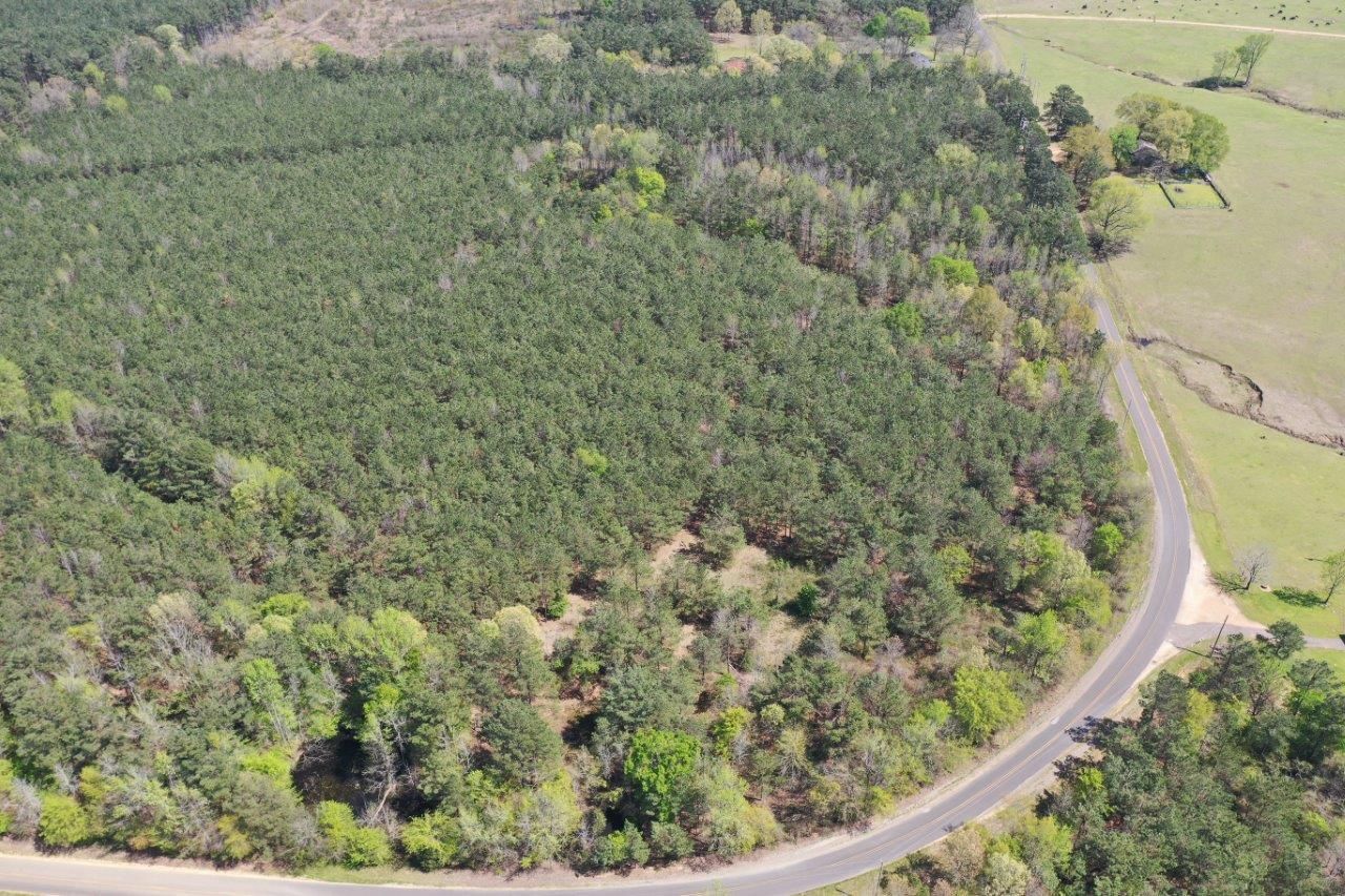 13.39 acres in Clark County, Arkansas