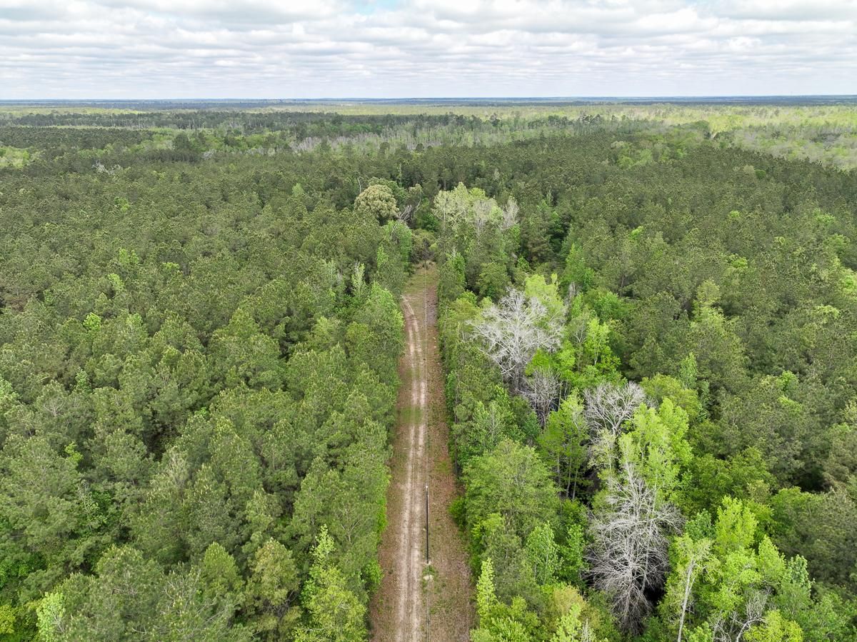 49.7 acres in Newton County, Texas