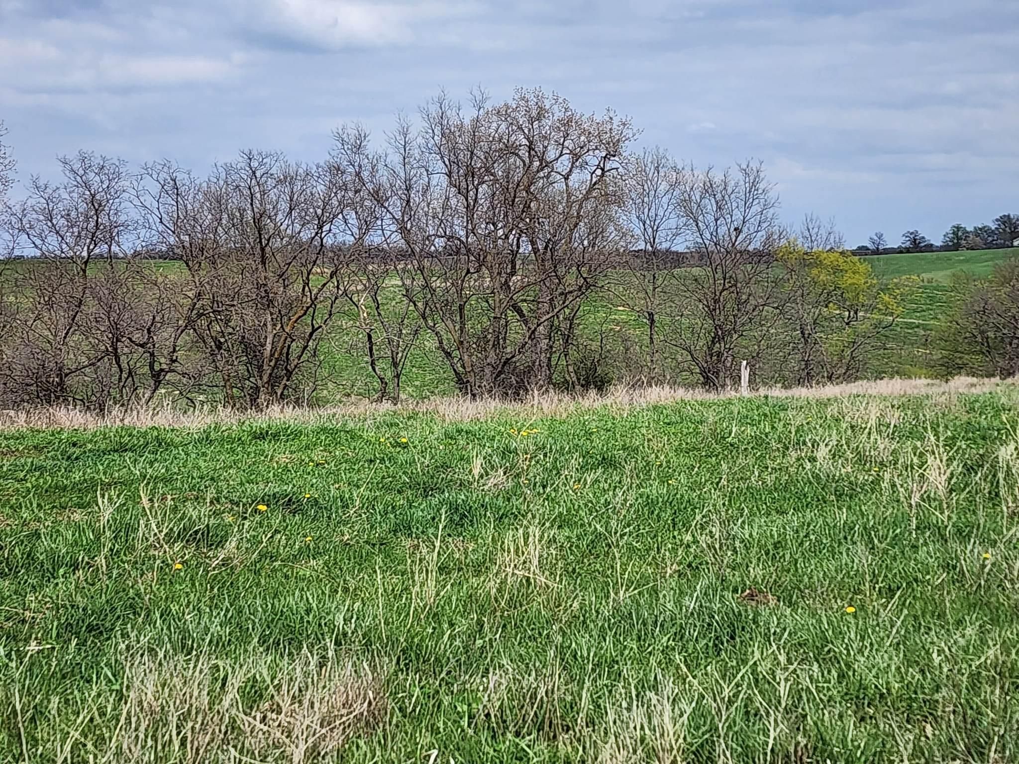 141 acres in Schuyler County, Missouri