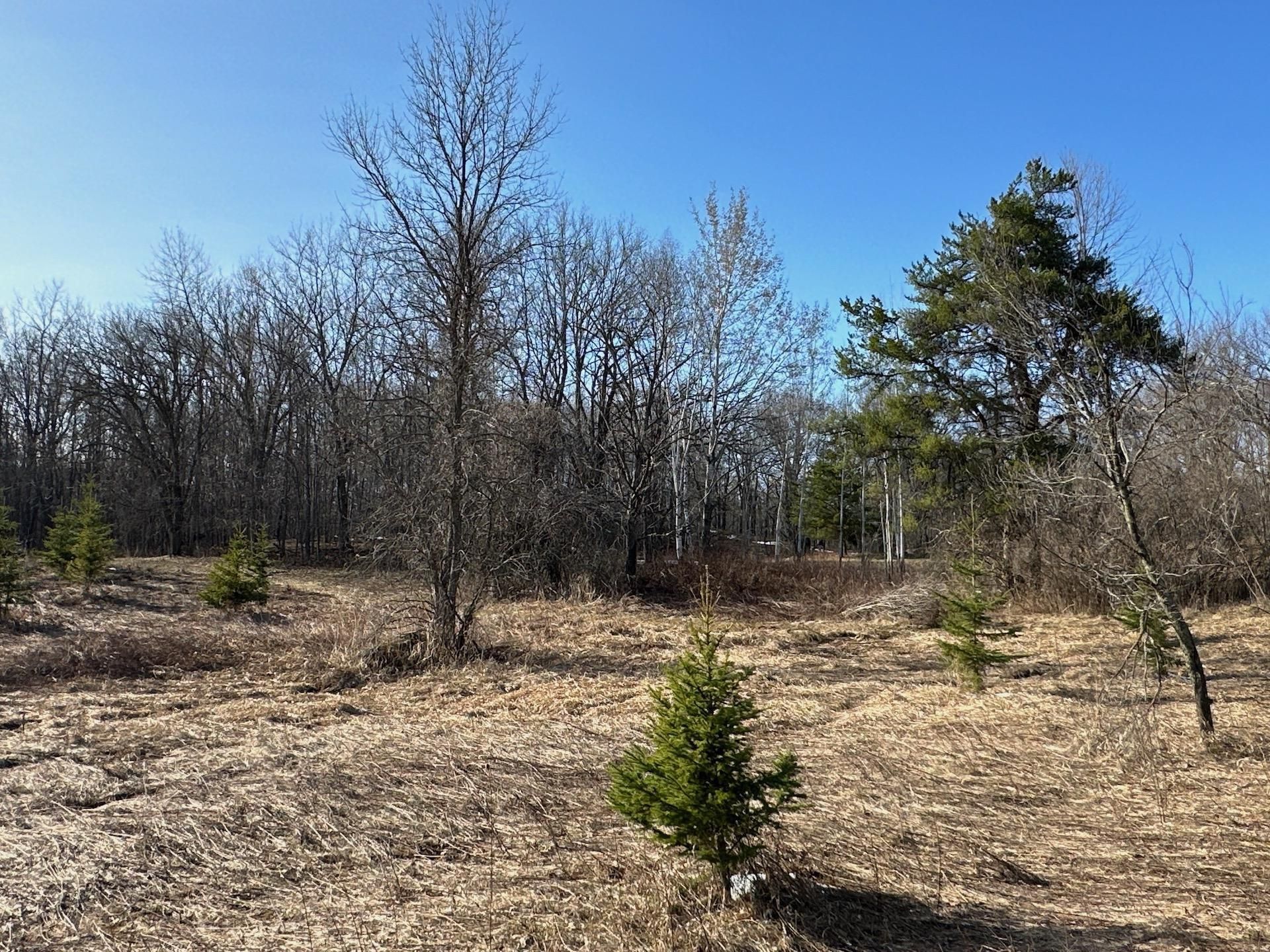 40 acres in Mille Lacs County, Minnesota