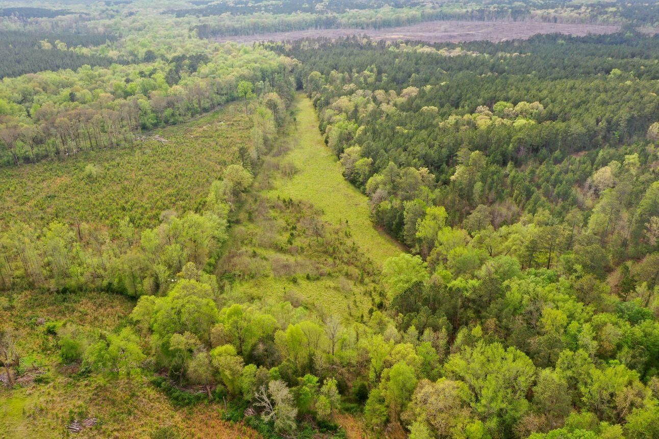 12 acres in Newberry County, South Carolina