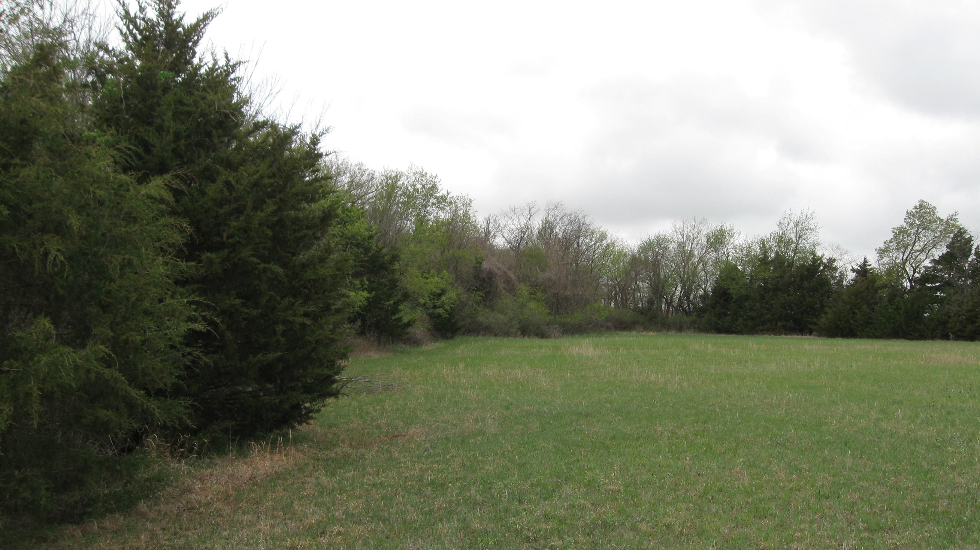 77 acres in Anderson County, Kansas