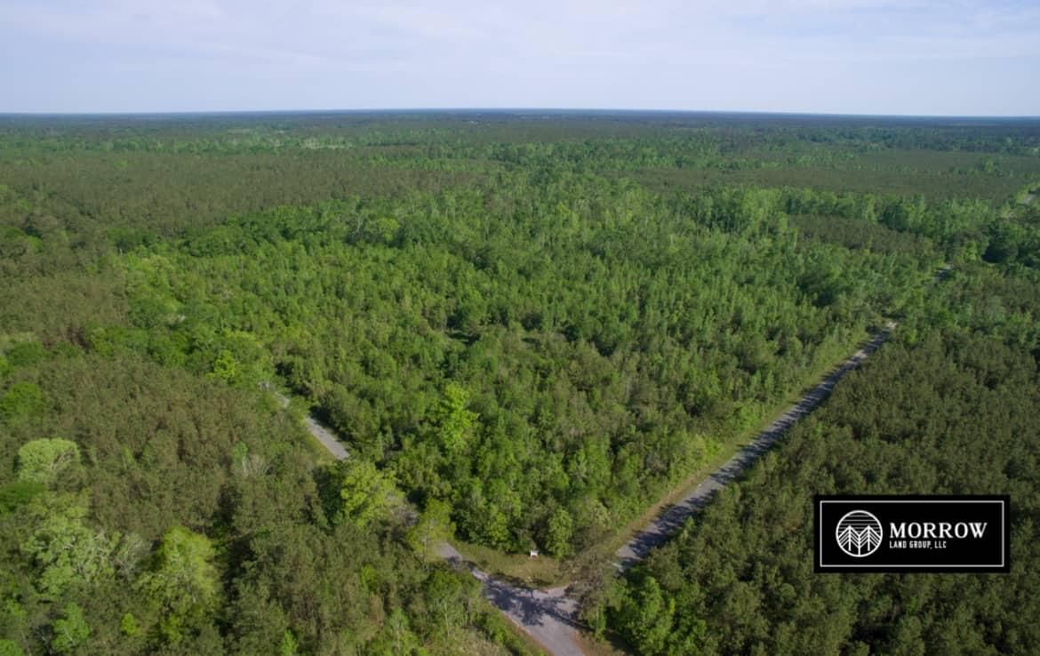 40 acres in Beauregard Parish, Louisiana