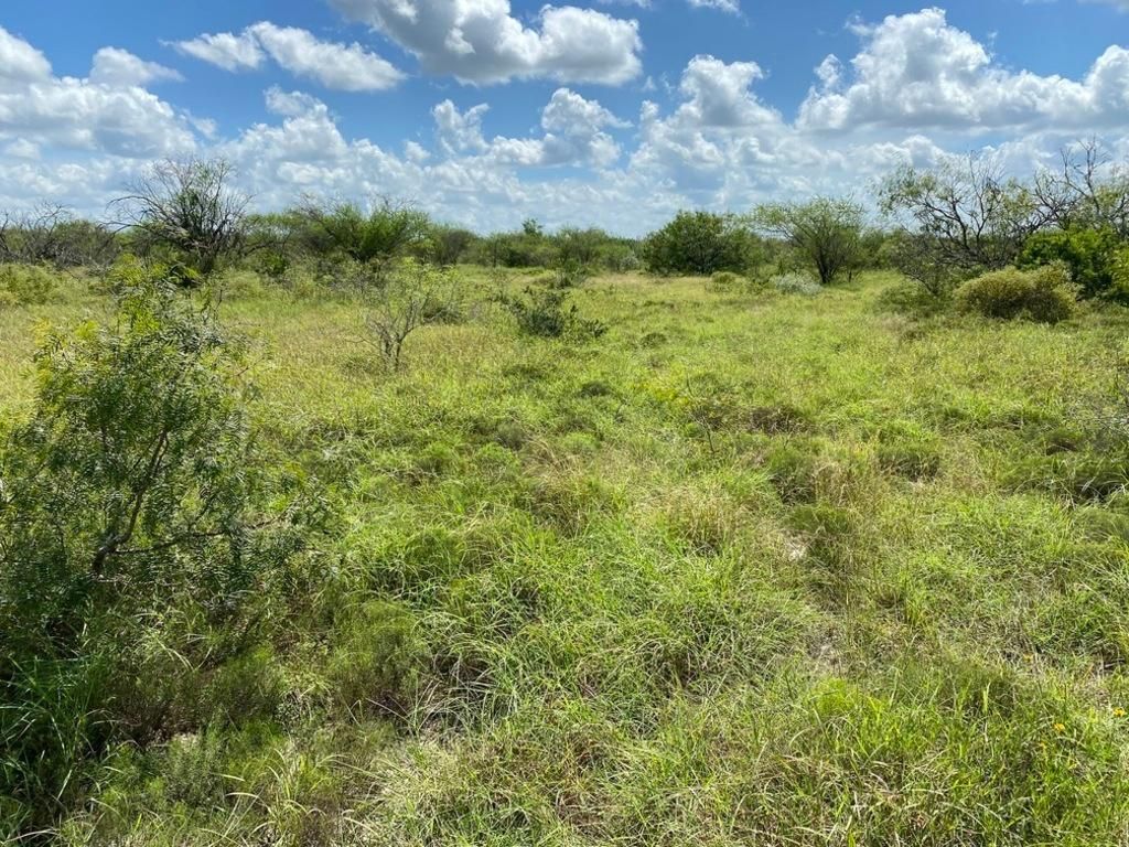 10.01 acres in Duval County, Texas