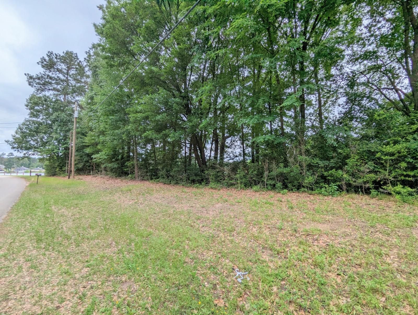 0.16 acres in Montgomery County, Texas